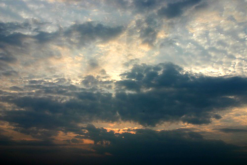d0010607_2130957.jpg