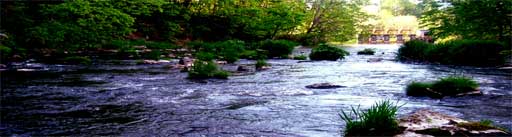 d0052419_0384279.jpg
