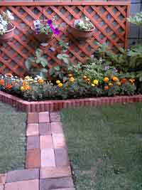 c0022231_23545021.jpg