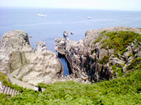 d0048332_11541967.jpg