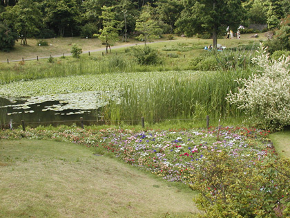 c0048042_1482342.jpg