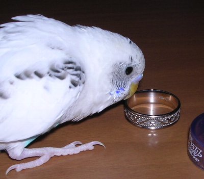 c0054148_15351861.jpg