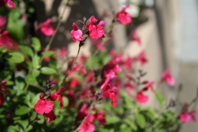 d0013149_042131.jpg