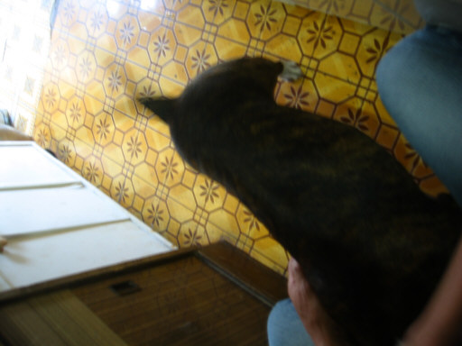 c0073152_1085555.jpg