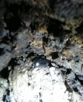 d0016155_20393558.jpg