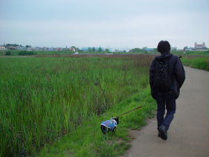 d0027057_23515727.jpg