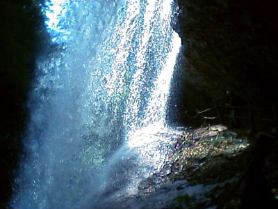 b0015260_931331.jpg