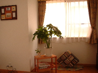 b0043980_1611723.jpg
