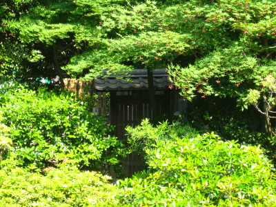 d0047811_23195326.jpg