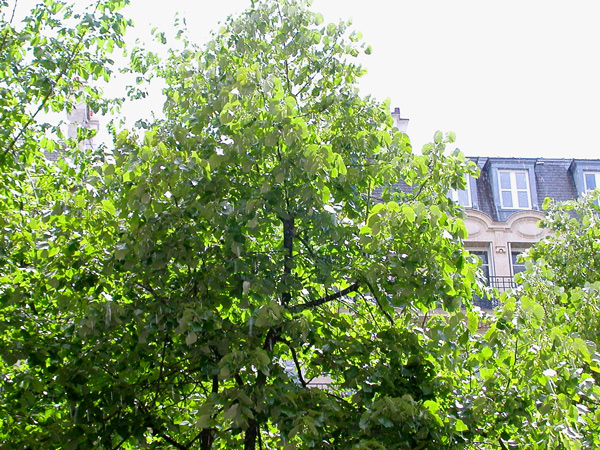 d0008925_2231829.jpg