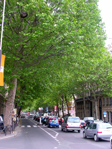 d0008925_227418.jpg