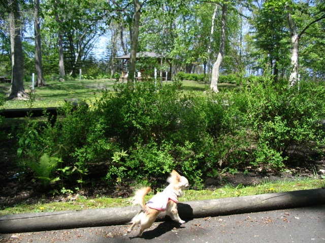 a0016775_21531381.jpg