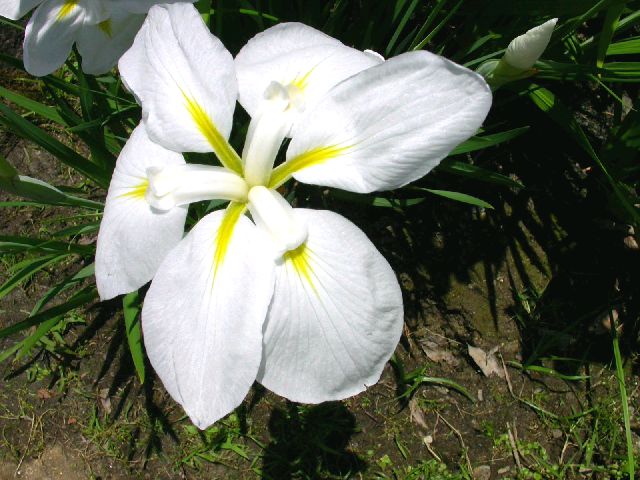 d0061579_12393612.jpg