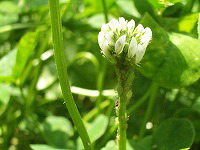 c0045882_21495433.jpg