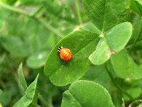 c0045882_2152597.jpg