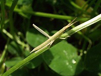 c0045882_21535568.jpg