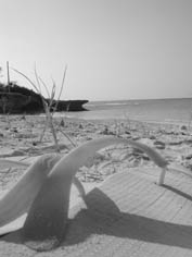 c0068090_13592748.jpg