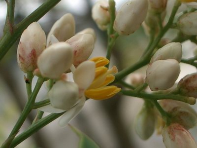 b0052108_052455.jpg