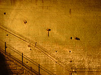 b0038810_11471858.jpg
