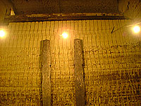 b0038810_11481652.jpg