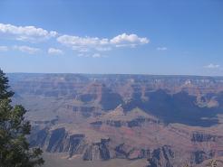 b0024439_95101.jpg