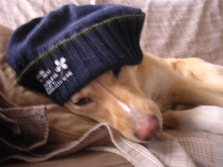 c0065643_22263261.jpg