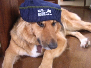 c0065643_22275611.jpg