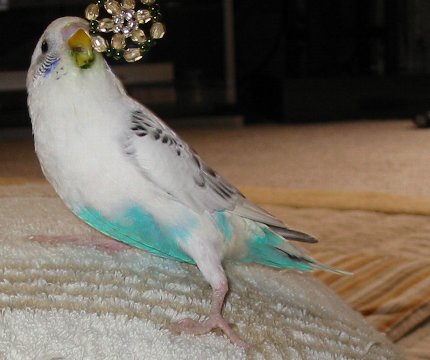 c0054148_1143510.jpg