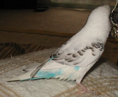 c0054148_1271512.jpg
