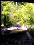 b0035763_031393.jpg