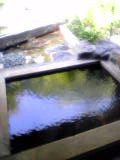 b0035763_054553.jpg