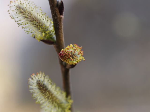 b0024976_235936.jpg