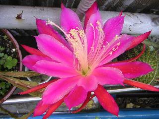 a0018200_13383447.jpg