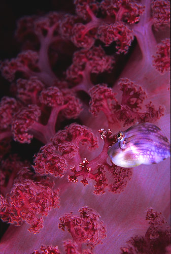 c0064907_1442138.jpg