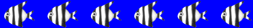 a0021421_23344227.gif