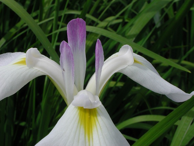 c0044021_145585.jpg