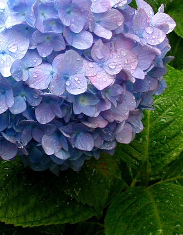 d0008925_2311761.jpg