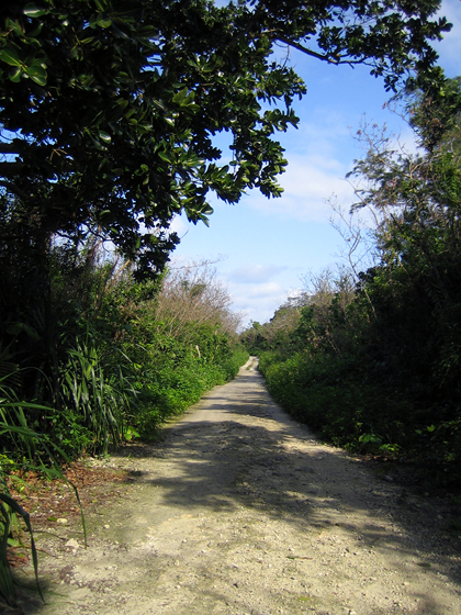 c0014035_20243914.jpg