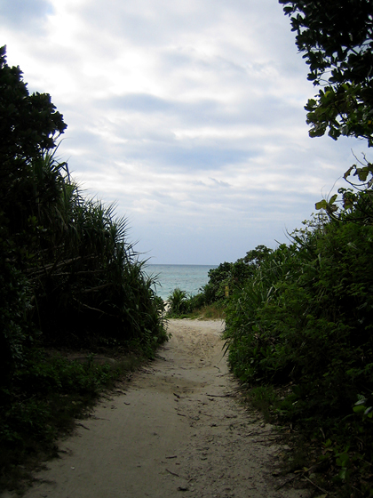 c0014035_2036653.jpg
