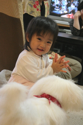 b0017338_2327569.jpg