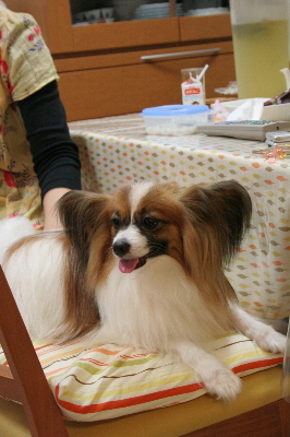 b0017338_23323386.jpg