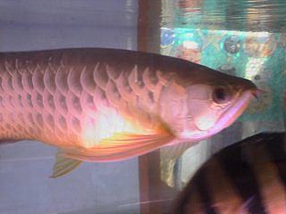 c0054838_221738100.jpg