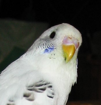 c0054148_9214755.jpg