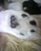 c0045283_14281047.jpg