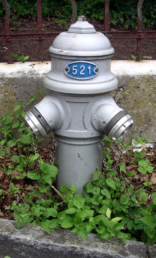 b0038588_2256887.jpg