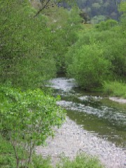 b0021101_040481.jpg