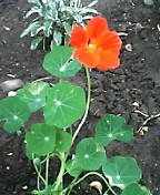 d0032405_10423945.jpg