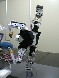 c0073612_030551.jpg