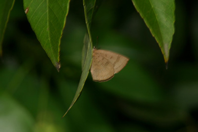d0054625_15432516.jpg