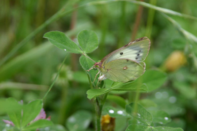 d0054625_1661820.jpg